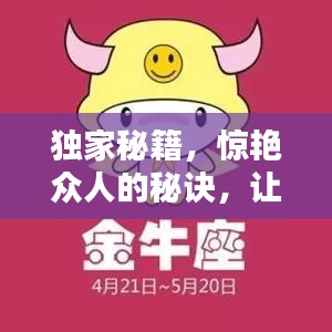 独家秘籍，惊艳众人的秘诀，让你心动不已！