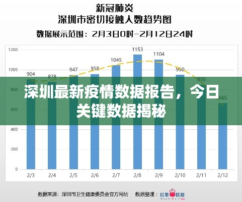 深圳最新疫情数据报告，今日关键数据揭秘