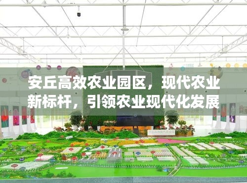 安丘高效农业园区，现代农业新标杆，引领农业现代化发展之路