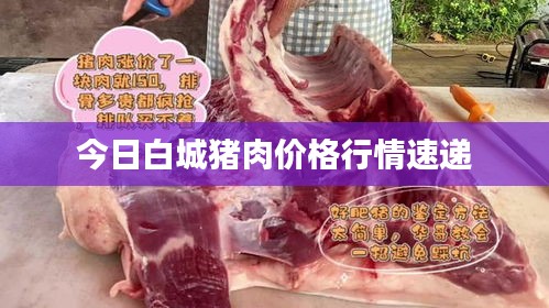 今日白城猪肉价格行情速递