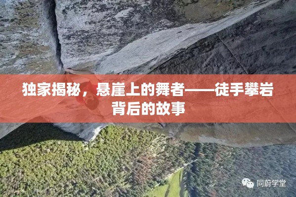 独家揭秘，悬崖上的舞者——徒手攀岩背后的故事