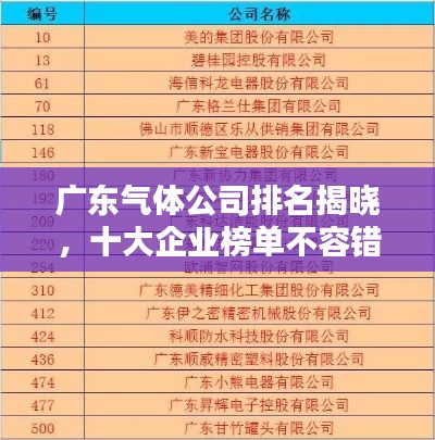 广东气体公司排名揭晓，十大企业榜单不容错过！