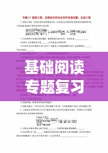 基础阅读专题复习，深化理解，提升能力攻略