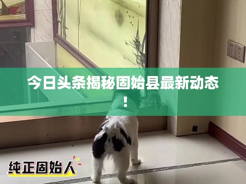 今日头条揭秘固始县最新动态！