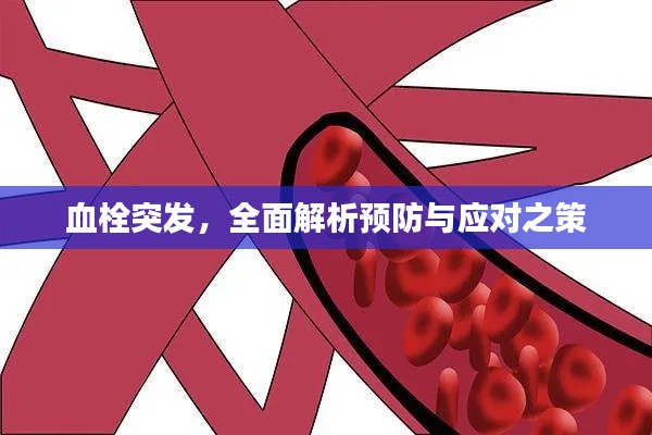 血栓突发，全面解析预防与应对之策