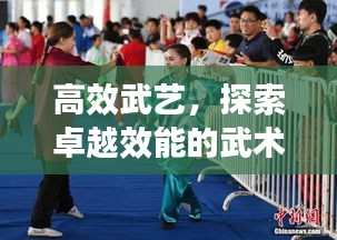 高效武艺，探索卓越效能的武术之道