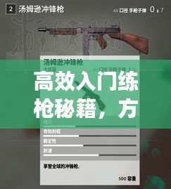 高效入门练枪秘籍，方法与技巧全解析