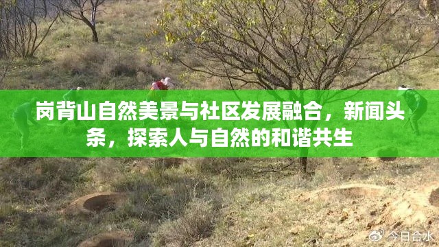 岗背山自然美景与社区发展融合，新闻头条，探索人与自然的和谐共生