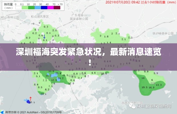 深圳福海突发紧急状况，最新消息速览！
