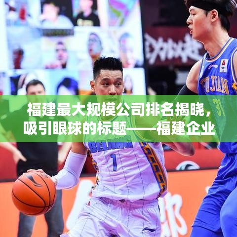 福建最大规模公司排名揭晓，吸引眼球的标题——福建企业巨头榜单，揭秘最大规模公司排名
