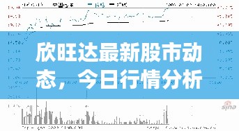 欣旺达最新股市动态，今日行情分析