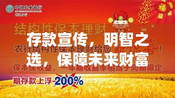 存款宣传，明智之选，保障未来财富增值之路