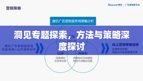 洞见专题探索，方法与策略深度探讨