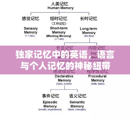 独家记忆中的英语，语言与个人记忆的神秘纽带