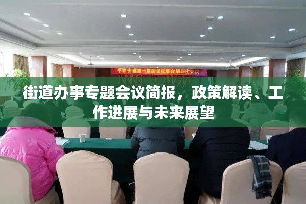 街道办事专题会议简报，政策解读、工作进展与未来展望