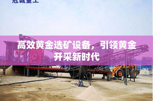 高效黄金选矿设备，引领黄金开采新时代