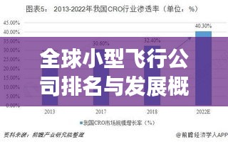 全球小型飞行公司排名与发展概览，行业洞察与趋势分析