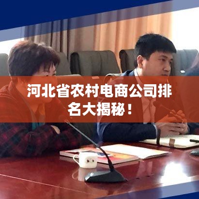 河北省农村电商公司排名大揭秘！