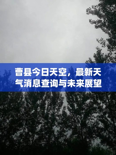 曹县今日天空，最新天气消息查询与未来展望