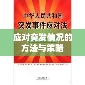应对突发情况的方法与策略