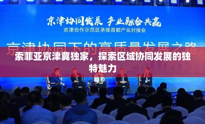 索菲亚京津冀独家，探索区域协同发展的独特魅力