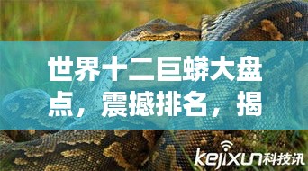 世界十二巨蟒大盘点，震撼排名，揭秘神秘巨兽！