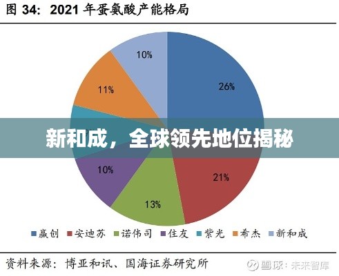 新和成，全球领先地位揭秘